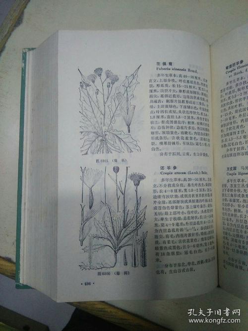 中国高等植物图鉴2345册缺1