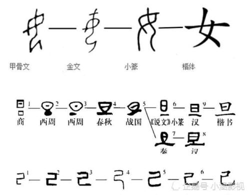 "苏"字的甲骨文没找到,但是大家可以参考演变后的小篆和隶书.