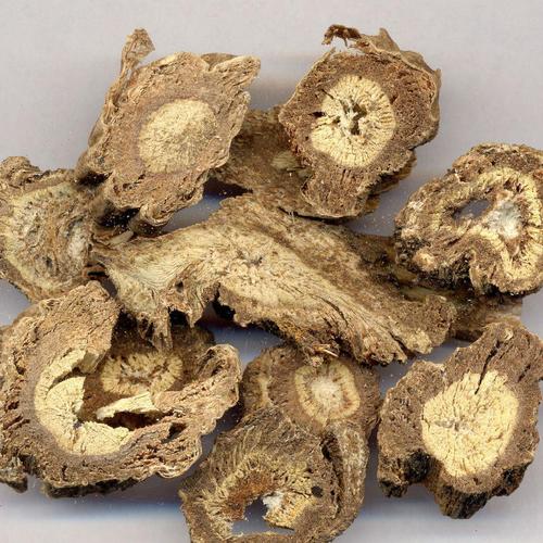 羌活药材图片_羌活的功效与作用-药材网