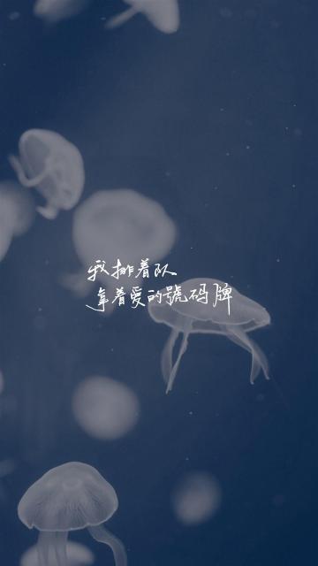 我排着队,拿着爱的号码牌