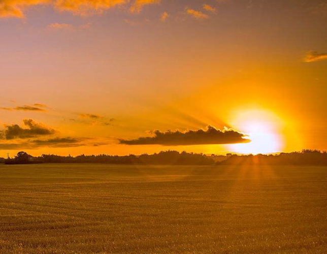 黎明的通知的作品赏析