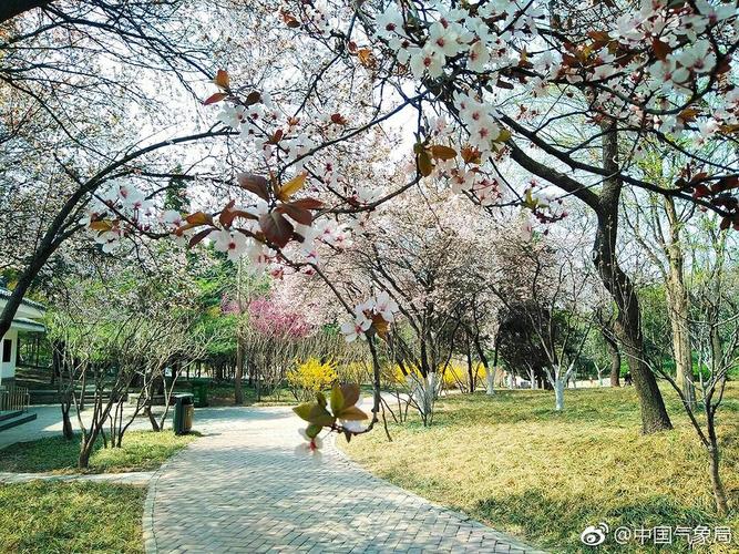 济南百花公园 粉丝 摄影投稿