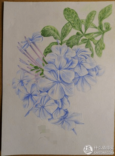 prismacolor三福132色彩铅  比大神们差得太远,买套高级彩铅然后画出