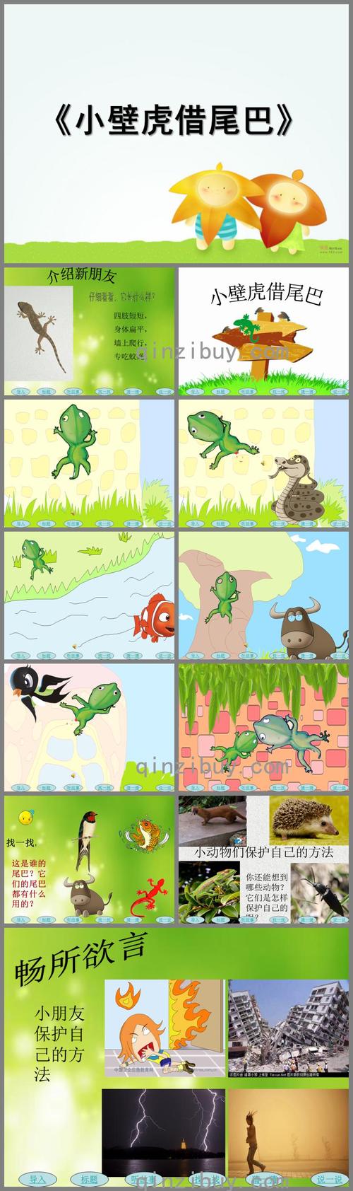 大班综合活动小壁虎借尾巴ppt课件配音