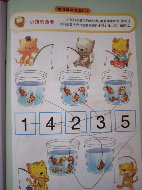 数物对应