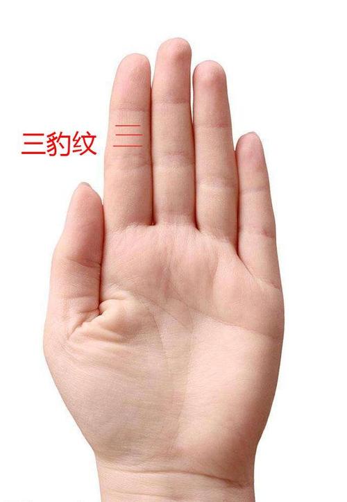 但若是有三条指节纹的话,就称为三豹纹.