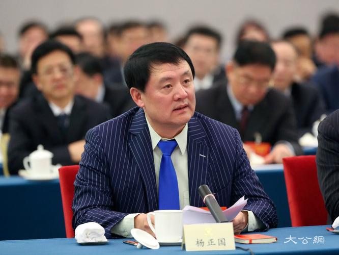 全国政协委员杨正国呼吁加大民企创新扶持力度,张宝峰摄