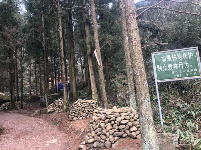 2019年3月7日浦江红岩顶