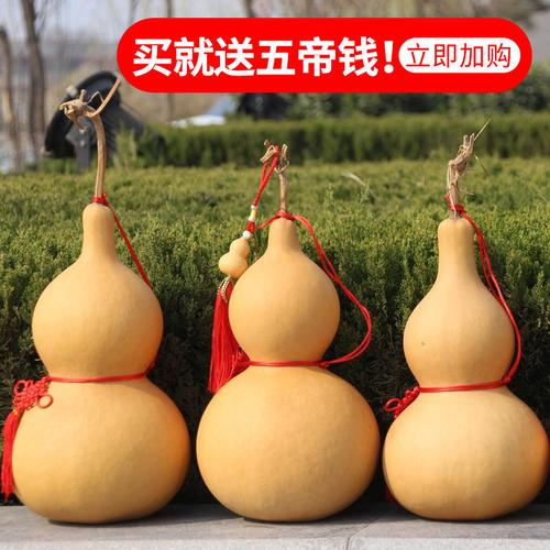 天然葫芦文玩大葫芦 风水镇宅葫芦摆件 小葫芦挂件开口葫芦跨境东