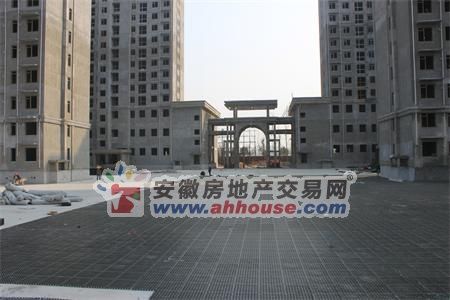 楼盘315|山水文园5#开盘在即 细节决定楼盘品质