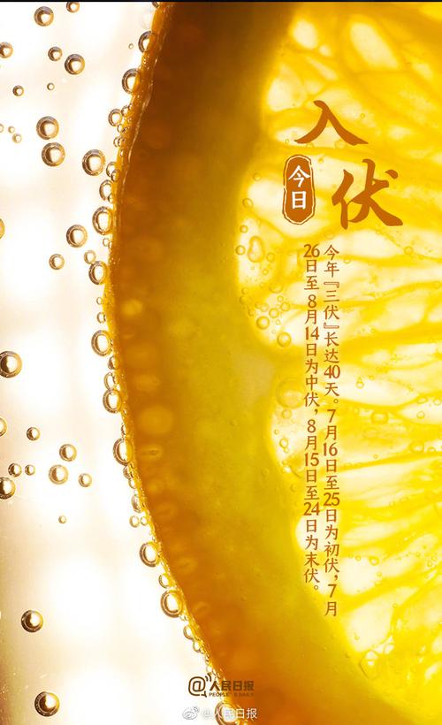 "恰在小暑和大暑节气之间,是一年中最热时节;③今年7月16日至25日初伏