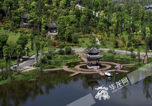 秀湖公园 璧山水务局供图 华龙网发