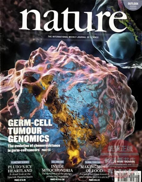 nature 英国版 自然科学杂志 2016年12月1日 全新正版