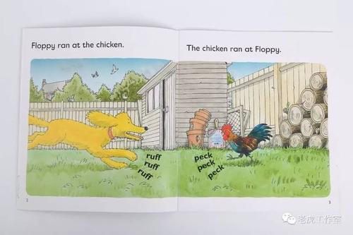 floppy ran at the chicken. the chicken ran at floppy.↓