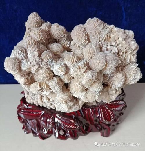 美丽奇特的石头—"沙漠玫瑰"