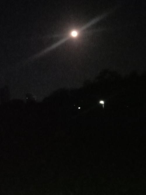 今天的月亮蛮好看的,拍_景点_出行