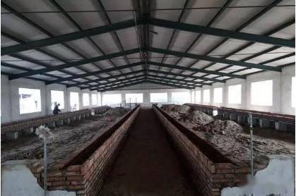 哪种牛舍类型最经济适用,而且适合我们养牛人!_牛棚