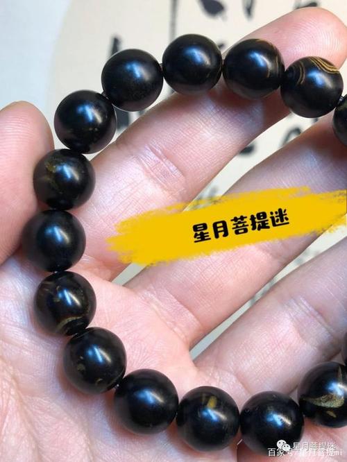 海中黄金木-海柳中的黑色什么样才是真的!