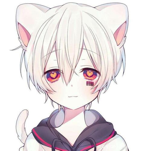 可爱的二次元猫耳男头