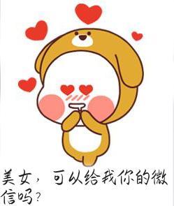 美女,可以给我你的微信吗-斗图-斗图_以表情包和头像