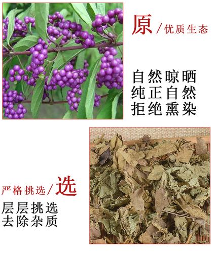中药材紫珠叶 规格齐全千余种药材冷背奇 大叶紫珠 大风叶白狗肠