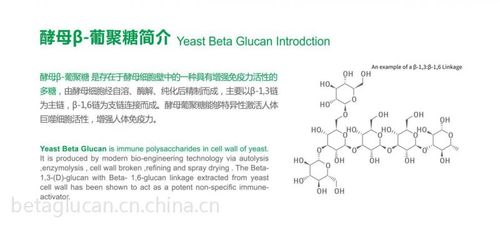 天香酵母葡聚糖生产商 g80 β葡聚糖价格 羧甲基葡聚糖 85%高纯度