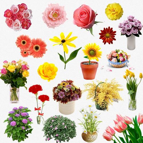 花卉png免抠图素材 花朵花盆设计元素 ps素材-淘宝网