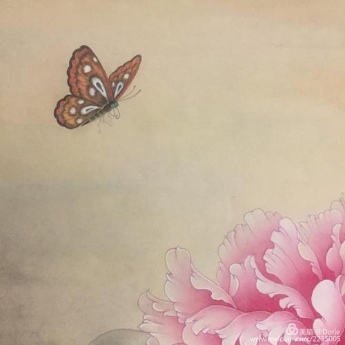工笔花鸟画-牡丹蝴蝶