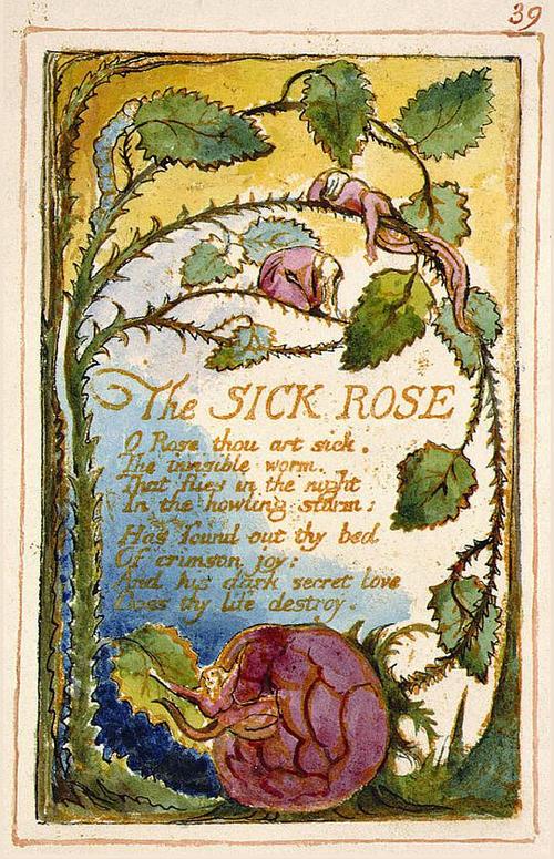 9. the sick rose