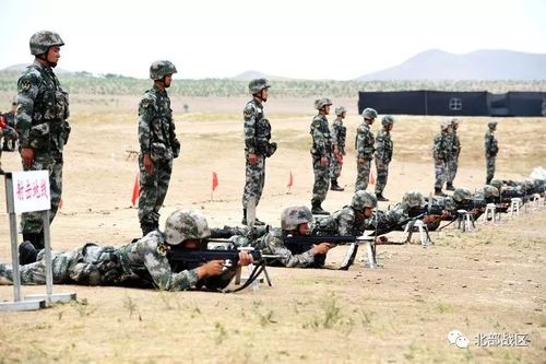 硝烟四起看这支塞外劲旅如何紧盯实战锤炼官兵穿杨硬功