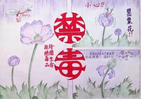 三年级简单禁毒手抄报 禁毒手抄报