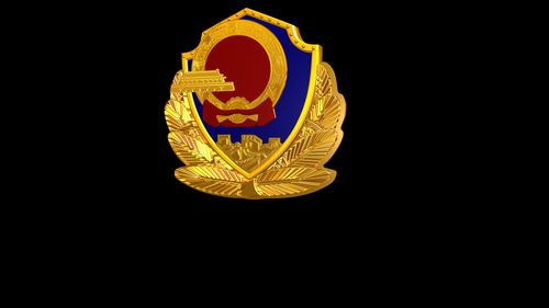 警徽 国徽 三维 3d 金属 公安 警察