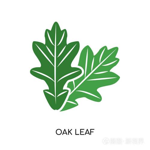 橡树叶徽标矢量图标在白色背景下分离, 色彩鲜艳