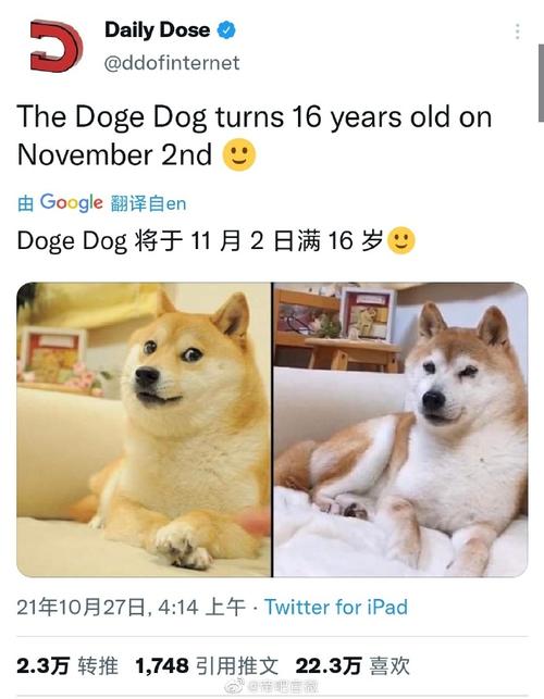 时光荏苒,这只狗头表情包已经16岁了,属于狗届的寿星了 #狗头##doge