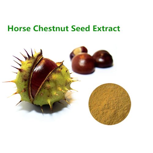 horse chestnut extract 20% escine