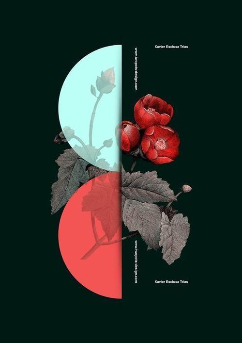 2019114左右对比版式海报设计