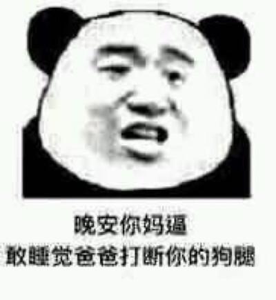 熊猫头 晚安你妈逼 表情包