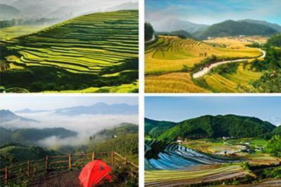 崇义上堡梯田景区图片