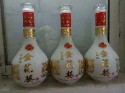 傲然挺立的紫芯金蕊 这就是被植物界称为"大熊猫"的金花葵