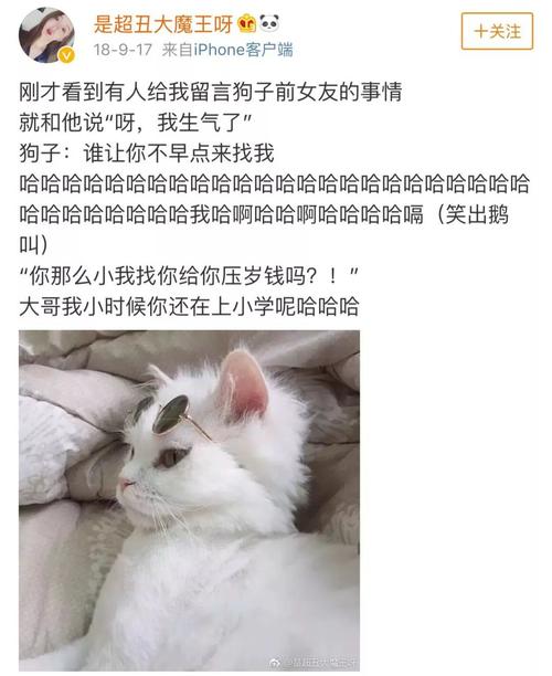 还是abilly男朋友?唐梓这是要火啊!