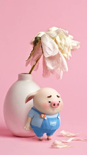 看着花朵枯萎的猪小屁