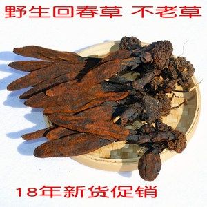 顶天柱