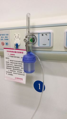 给予氧气的吸入