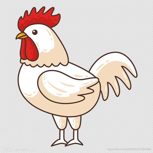 卡通鸡相关图片