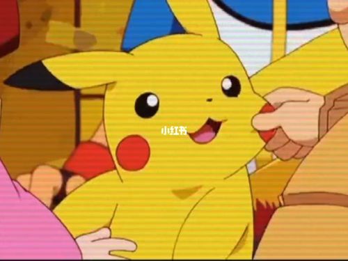 皮卡丘和他的主人(小智)……_皮卡丘_影视_动漫
