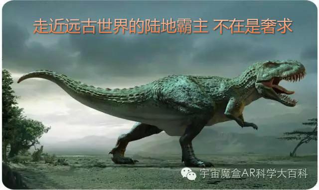 宇宙魔盒恐龙星际早教ar卡片 陆地霸主ar卡片