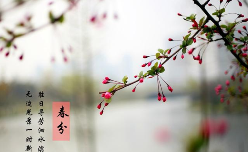 春分时节吃什么养生2019春分养生攻略