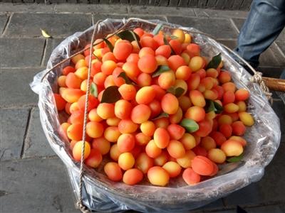 金西梅是个啥东西?专家:非新鲜水果,乃糖渍蜜饯