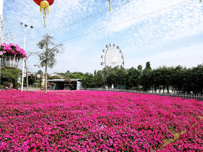 常德到花都旅游