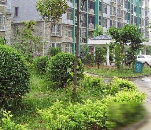 宝景花园 190w一二楼大复式 送60平花园 _郑州二手房